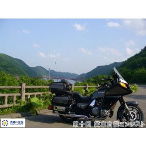 第十回愛車自慢コンテスト ニッサン ステージア...の詳細画像2