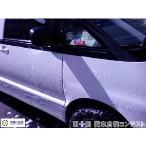 第十回愛車自慢コンテスト トヨタ エスティマ ...の詳細画像2