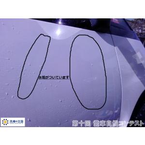 第十回愛車自慢コンテスト トヨタ エスティマ ...の詳細画像3