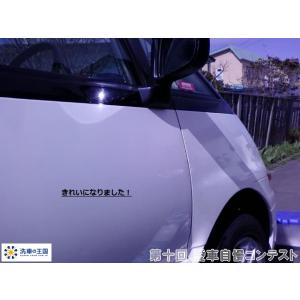 第十回愛車自慢コンテスト トヨタ エスティマ ...の詳細画像4