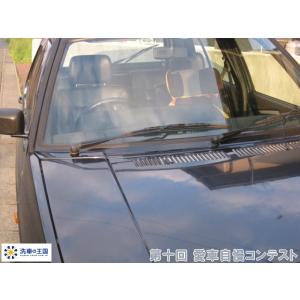 第十回愛車自慢コンテスト VOLLKSWAGE...の詳細画像3