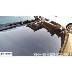 第十一回愛車自慢コンテスト マツダ プレマシー...の詳細画像3