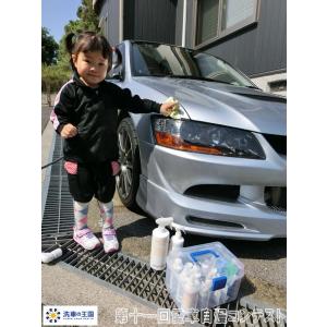 第十一回愛車自慢コンテスト ミツビシ ランサー...の詳細画像2