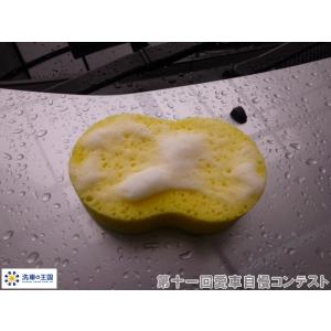 第十一回愛車自慢コンテスト ミツビシ デリカ ...の詳細画像4