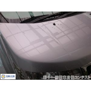 第十一回愛車自慢コンテスト ミツビシ デリカ ...の詳細画像5