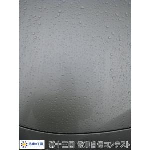 第十三回愛車自慢コンテスト トヨタ ラクティス...の詳細画像2