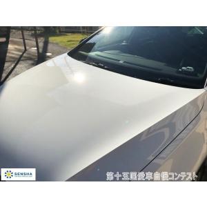 第十五回愛車自慢コンテスト VOLKSWAGE...の詳細画像1