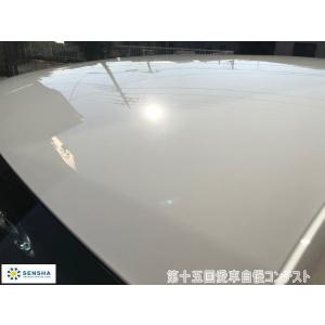 第十五回愛車自慢コンテスト VOLKSWAGE...の詳細画像4