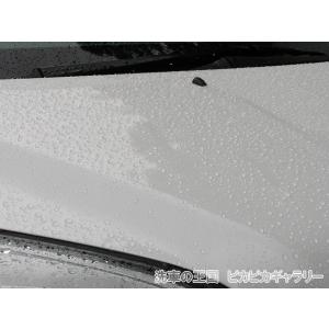 第三回愛車自慢コンテスト TOYOTA 当店オ...の詳細画像2