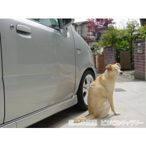 第三回愛車自慢コンテスト スズキ ワゴンR 当...の詳細画像2