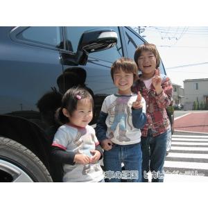 第三回愛車自慢コンテスト ホンダ ステップワゴ...の詳細画像4
