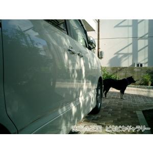 第四回愛車自慢コンテスト TOYOTA VOX...の詳細画像2