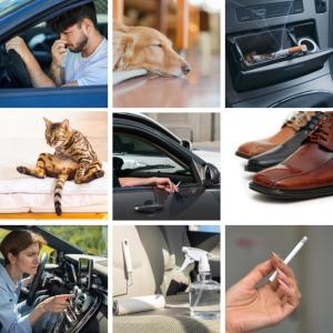 消臭 車 消臭剤 強力 車用 自動車 業務用 ...の詳細画像4