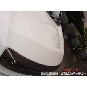 第五回愛車自慢コンテスト トヨタ ノア Si ...の詳細画像2