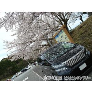 第八回愛車自慢コンテスト トヨタ ヴェルファイ...の詳細画像3