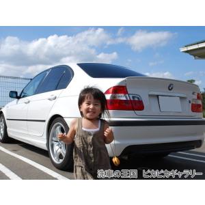 第八回愛車自慢コンテスト BMW 318i M...の詳細画像3