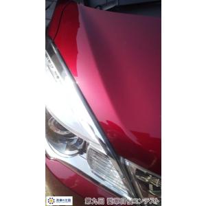 第九回愛車自慢コンテスト ミツビシ デリカディ...の詳細画像2