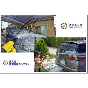 第九回愛車自慢コンテスト ホンダ エアウェイブ...の詳細画像4