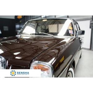 洗車用品 コンパウンド シミ 研磨剤 ウォータースポット除去 18l 約480回分 ボディー研磨 プロ仕様 916 18 洗車の王国 ボディー研磨 洗車用品 車 スクラッチカット キズ消し プロ仕様 塗装面みがき 業務用