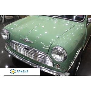 洗車用品 コンパウンド シミ 研磨剤 ウォータースポット除去 18l 約480回分 ボディー研磨 プロ仕様 916 18 洗車の王国 ボディー研磨 洗車用品 車 スクラッチカット キズ消し プロ仕様 塗装面みがき 業務用