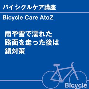 バイシクルケア 雨や雪で濡れた路面を走った後は...の詳細画像1