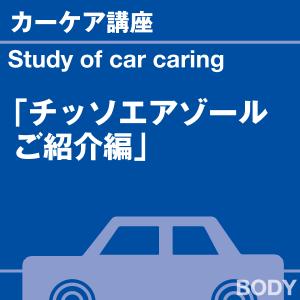 カーケア講座 硬化型コーティング剤のお助けアイ...の詳細画像1