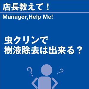 虫クリンで樹液除去は出来る？ 当店オリジナルグッズを特価にてご提供中！ ※お一人様1点限り