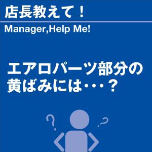 エアロパーツ部分の黄ばみには 当店オリジナルグッズを特価にてご提供中！ ※お一人様1点限り