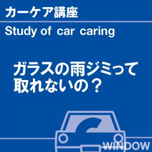 当店オリジナルグッズを特価にてご提供中！・ネックストラップ・ワイピングクロスよりお選びいただけます。※お一人様1点限り｜sensya