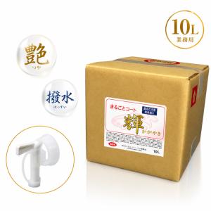 鉄粉除去剤 10L 業務用 中性 鉄粉取り 車 鉄粉クリーナー プロ仕様 大
