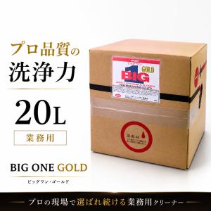 鉄粉除去剤 10L 業務用 中性 鉄粉取り 車 鉄粉クリーナー プロ仕様 大
