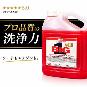 鉄粉除去剤 10L 業務用 中性 鉄粉取り 車 鉄粉クリーナー プロ仕様 大
