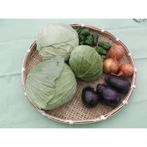 　キャベツ　2個と　店長おまかせの安全新鮮野菜の詰合せ。