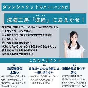 ダウンジャケット ダウンコート クリーニング ...の詳細画像3