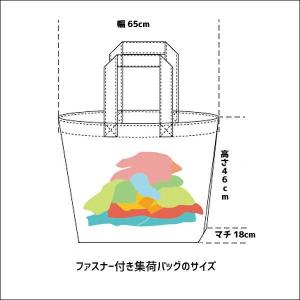 【地域限定送料無料!】【10点まで詰め放題!】...の詳細画像1