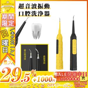 電動歯ブラシ 器具 口腔ケア美容器 歯垢 歯肉 歯用ツール