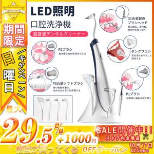 口腔洗浄機 USB充電式 LEDライト 5つ替えブラシ歯茎ケアー