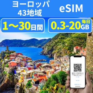 eSIM ヨーロッパ38国 アジア4国 イーシム エジプト含む 3日間~30日間 1GB 5GB 10GB 20GB simカード 一時帰国 留学 短期 出張