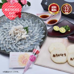 【期間限定】＼ 母の日 に最適／本場の ふぐ刺し とらふぐ 「化粧箱入り母の日セット【関門】／超冷」 4人前 山口 刺身 ふぐ皮 湯引き ふぐ天ぷら 送料無料 お礼｜山口ふぐ本舗きらく