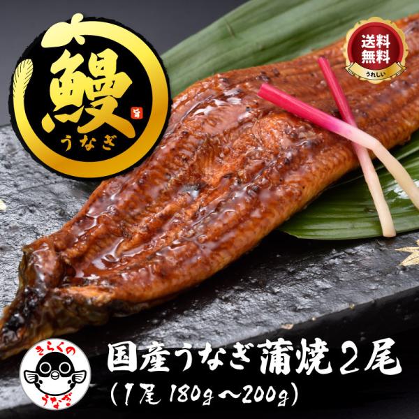 ＼約200gの特大サイズ／たれ・山椒付！「国産うなぎ蒲焼2尾／超冷」