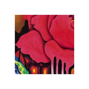 The Mustangs / Acid Trip｜韓国 K-POP CD｜SS9