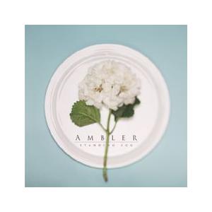 STANDING EGG / AMBLER｜韓国 K-POP CD｜WMED0131