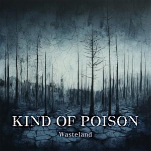 KIND OF POISON / WASTELA...の商品画像