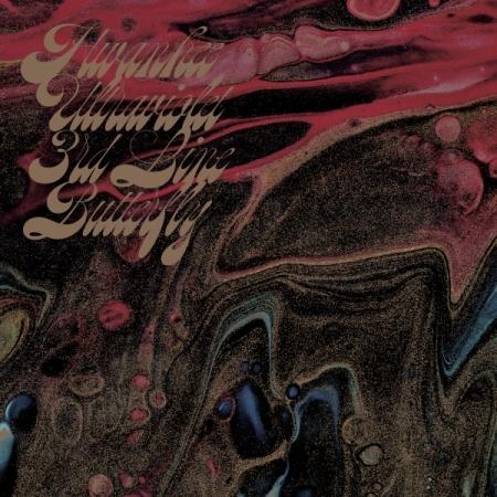 3号線BUTTERFLY(3号線バタフライ) / OUTSIDE OF JOYOUS PURPLE｜...