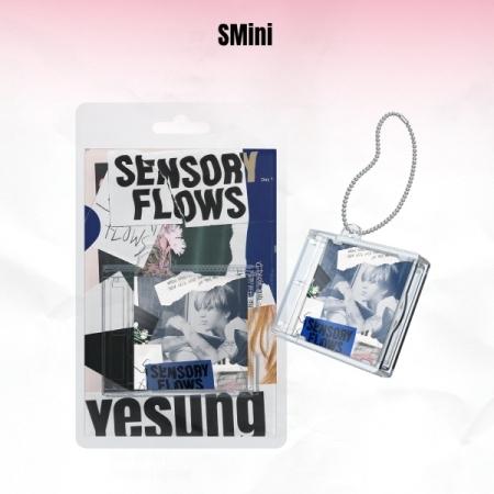 イェソン(YESUNG)(Super Junior) / SENSORY FLOWS (SMini ...