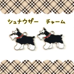 シュナウザー　チャーム　1ペア　犬/イヌ｜sept-chakouleur