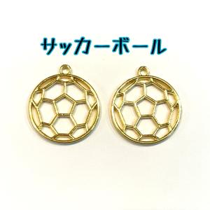 ボール レジン枠 2個 部活/サッカー/ラグビ...の詳細画像1