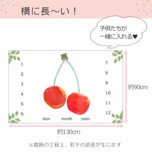 sept zero正規品 双子フォトシーツ 月...の詳細画像3