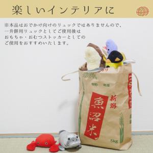 一升餅 一生餅 リュック 米袋 満1歳 男の子...の詳細画像2