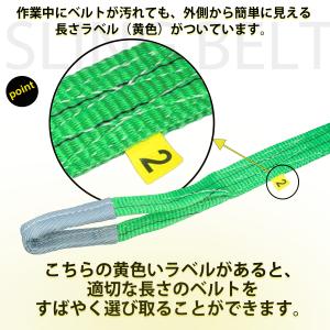 【送料無料】HELIX チェーンブロック 1t...の詳細画像4